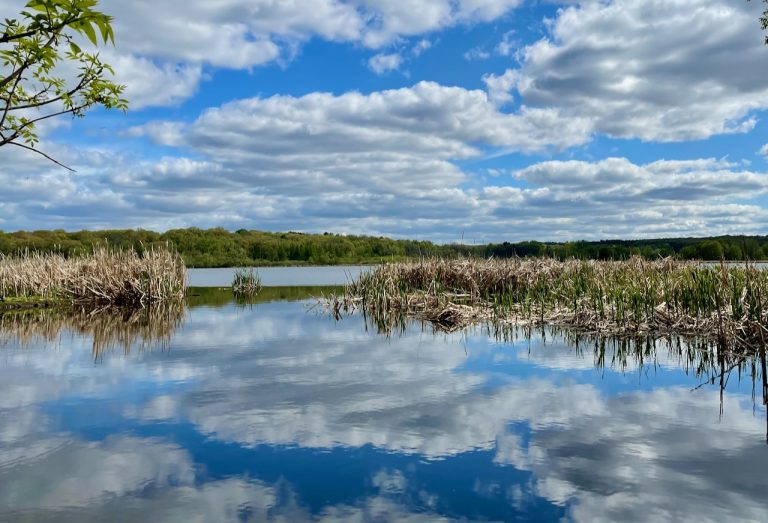 Lake Wingra Earth Day Cleanup - Friends of Lake Wingra